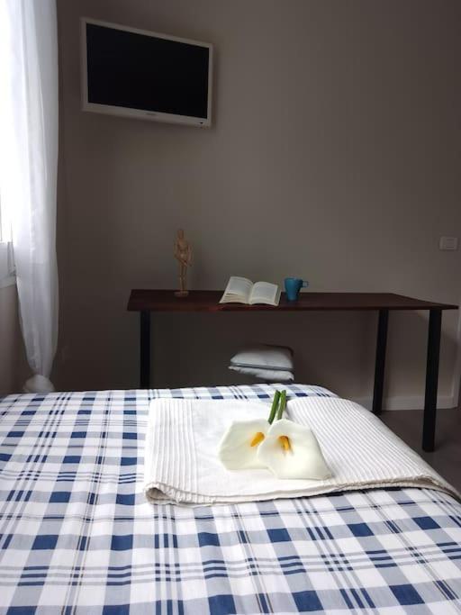 Apartamento Humboldt ,Island Paradise ลาโอโรตาวา ภายนอก รูปภาพ