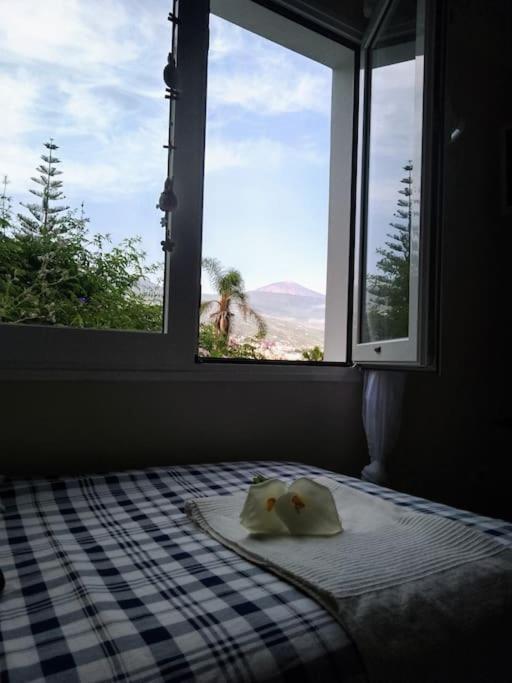 Apartamento Humboldt ,Island Paradise ลาโอโรตาวา ภายนอก รูปภาพ